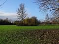 2014-1203-1130_Cannon_Hill_Common_8C